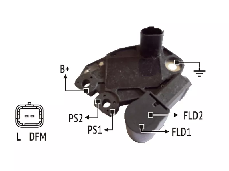 RNV 439319          